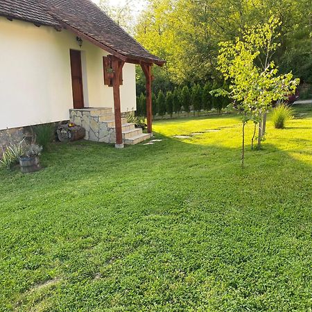 Villa Rudnicki Eko Breg Rudnik Exterior foto