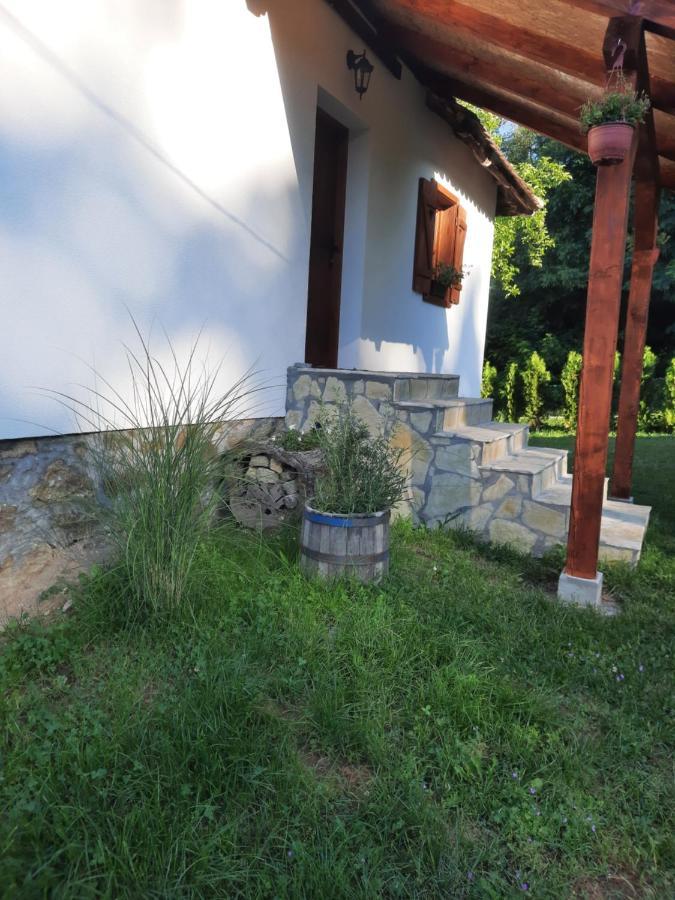 Villa Rudnicki Eko Breg Rudnik Exterior foto