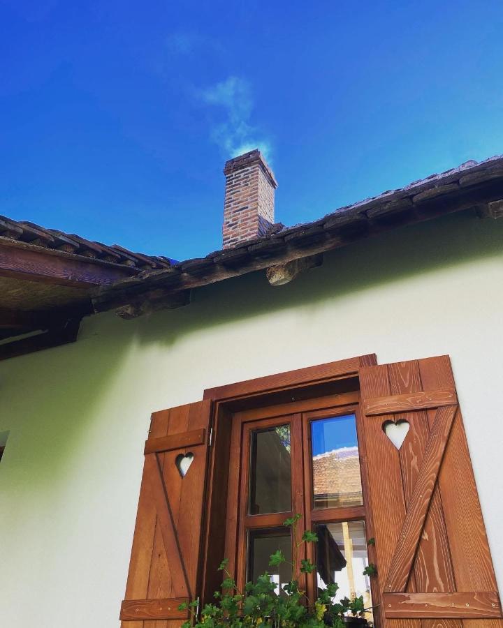 Villa Rudnicki Eko Breg Rudnik Exterior foto